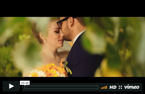 Video 1