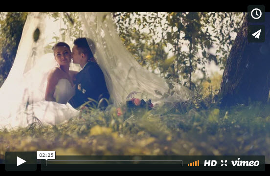 Video 2